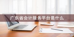广东省会计服务平台是什么