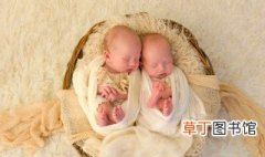 单绒双羊双胞胎成活率 单卵双胎单绒双羊存活率高不高