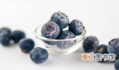 蓝莓盆栽的种苗挑选要点 如何选择蓝莓苗