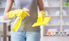 怎样可以清洁干净家里 怎样可以清洁干净家里的味道