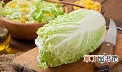白菜哪个朝代传入中国 白菜传入中国时间