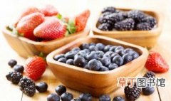 蓝莓什么品种最好吃 哪个品种的蓝莓最好吃