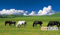 西藏有草原吗 西藏有没有草原