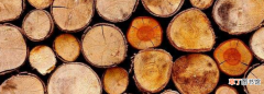 影响木材强度的因素有哪些