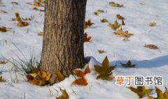 武汉会不会下雪 武汉最近会下雪吗