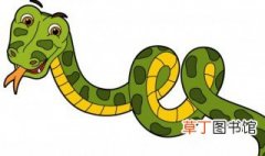 响尾蛇属于哪种动物 响尾蛇介绍