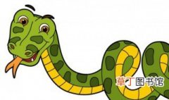 眼镜蛇是不是保护动物 眼镜蛇被保护吗