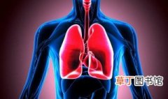 肺实质与间质的区别 肺实质与间质有什么区别