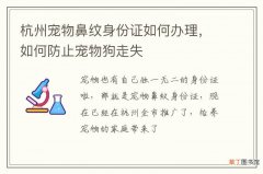 杭州宠物鼻纹身份证如何办理，如何防止宠物狗走失