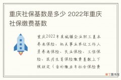 重庆社保基数是多少 2022年重庆社保缴费基数