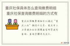 重庆社保具体怎么查询缴费明细 重庆社保查询缴费明细的方式有