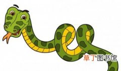 蛇属于什么动物 蛇介绍