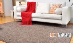 家里地毯如何清洁干净 家里地毯怎么清洁