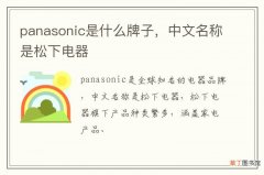 panasonic是什么牌子，中文名称是松下电器