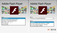 电脑已安装flash怎么在浏览器启用