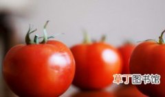 西红柿和茄子怎么炒 怎么炒西红柿和茄子