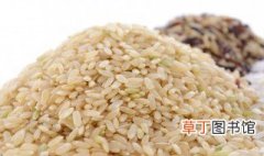 糙米饭是什么米 糙米饭的介绍