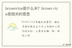 brownrice是什么米？brown rice是糙米的意思