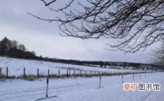2023北海道冬天一直有雪吗