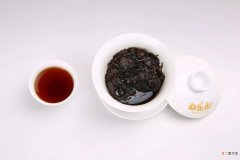 紫芽普洱茶功效与作用