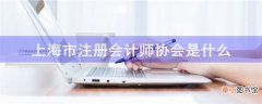 上海市注册会计师协会是什么