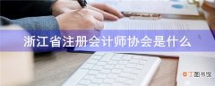 浙江省注册会计师协会是什么