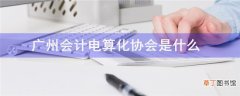 广州会计电算化协会是什么