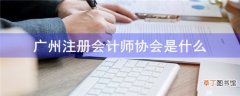 广州注册会计师协会是什么