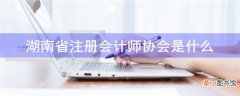 湖南省注册会计师协会是什么