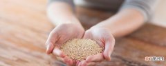 藜麦荞麦燕麦哪个更减肥 荞麦藜麦燕麦能一起吃吗!