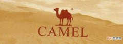 骆驼商标有几种
