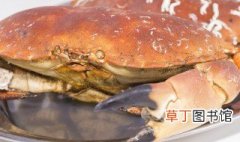 面包蟹怎么开壳 面包蟹开壳方法