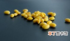 黄豆的储存方法 如何保存黄豆