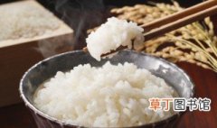 微波炉怎么蒸米饭 用微波炉蒸米饭的方法
