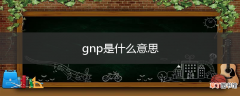 gnp是什么意思