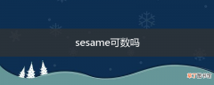 sesame可数吗