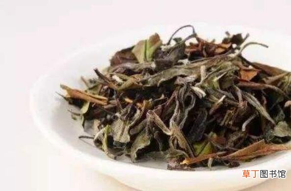 月季花茶的功效与作用 喝月季花茶的好处