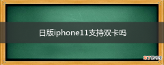 日版iphone11支持双卡吗