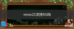 vivox21支持5G吗