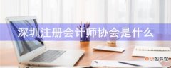 深圳注册会计师协会是什么