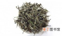 枣叶茶的功效与作用 枣叶茶储存方法
