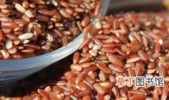 红香米的功效与作用 和大米有什么区别