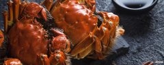 大闸蟹母的蟹黄多还是公的蟹黄多 大闸蟹什么月份吃最好