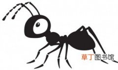 关于蚂蚁的故事 关于蚂蚁的故事精选