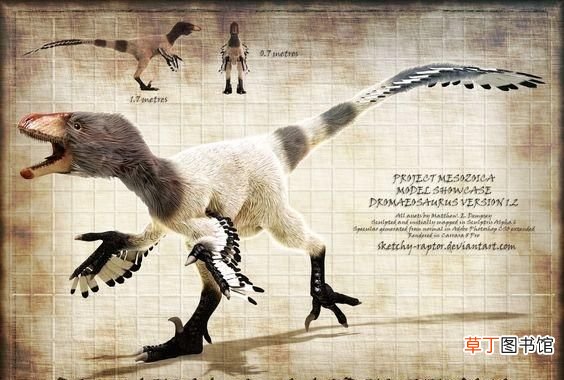 恐龙和鸟类哪些相似之处 恐龙和鸟类各有什么特点