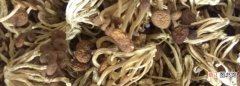 干茶树菇如何泡发，干茶树菇用热水泡还是冷水泡