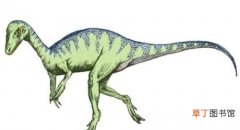 恐龙的祖先是谁小 恐龙的祖先是谁