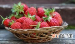 如何使草莓种子发芽 草莓种子怎样发芽