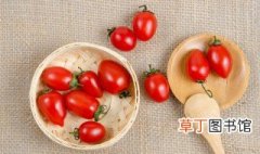 小番茄种植时间和方法，家庭小番茄种植时间和方法