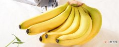 自制香蕉干最简单的做法 香蕉吃不完简单做法